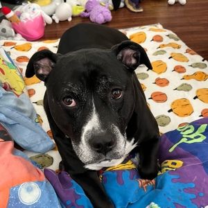 Meet your Posher, Elena